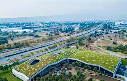 Yeşil Çatı Sistemleri